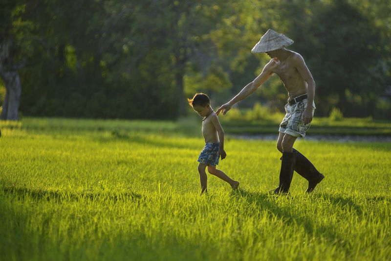 Take carephoto preview