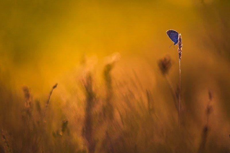 Держи меня соломинка,держи.photo preview