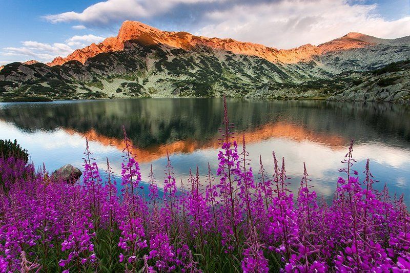 болгария, пирин, Пиринphoto preview