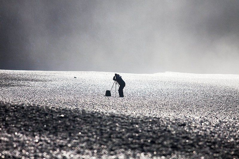 Орнитологphoto preview