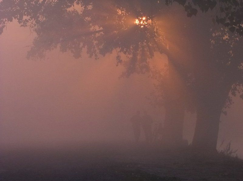 Восход солнца, Деревья, Люди, Пейзаж, Рассвет, Туман, Утро Разговор по душамphoto preview