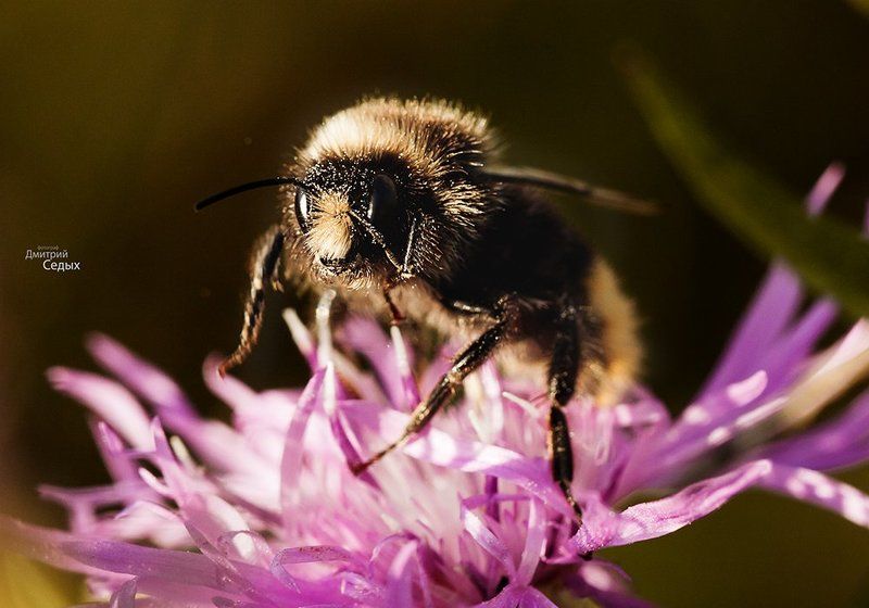 я еще не готова, подожди :)photo preview