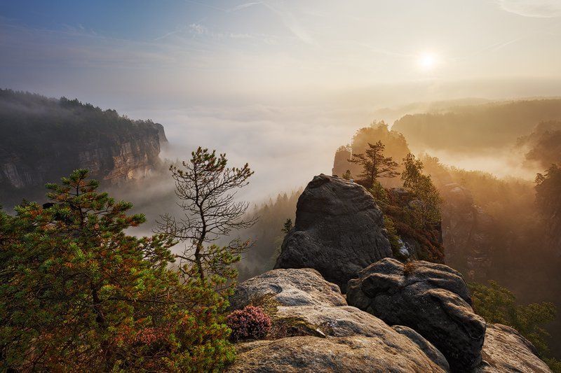 Fog, Germany, Light, Mist, Morning, Rocks, Sandstone, Saxon switzerland, Summer Jurassic Worldphoto preview