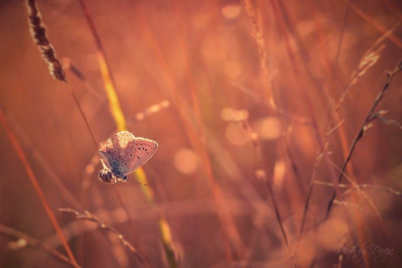 отдыхphoto preview