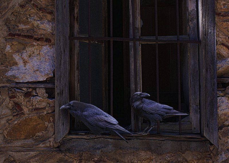 Стражи времениphoto preview