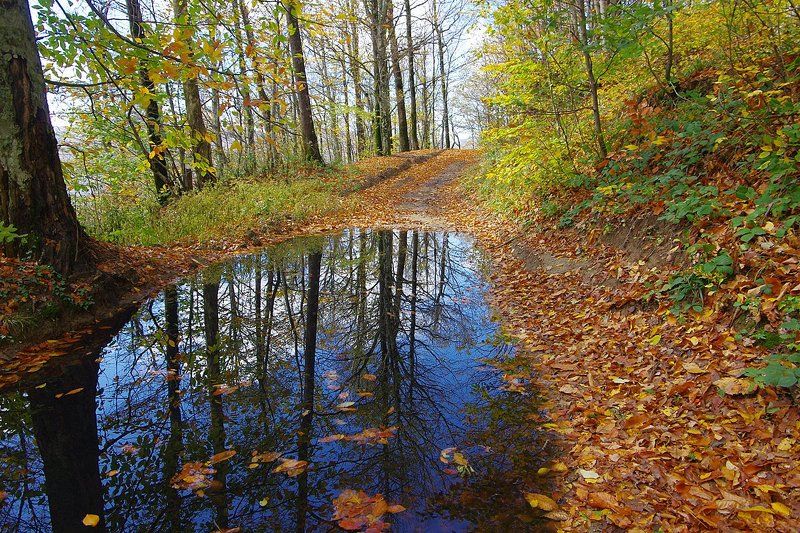 дорогами осениphoto preview