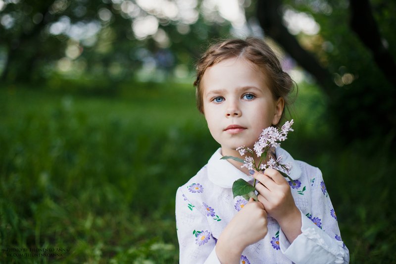 сирень, лето, зелень photo preview