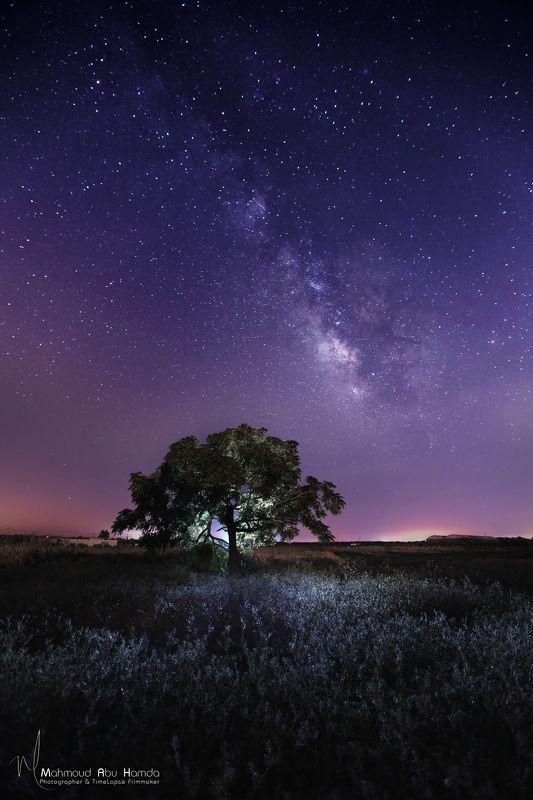gaza, landscape, sky, cloud, tree, hamda, Galaxyphoto preview
