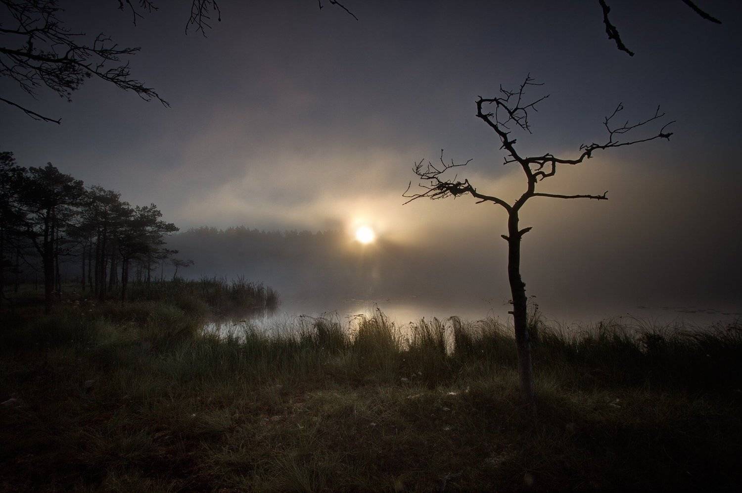 , Marius Gailiu&scaron;is