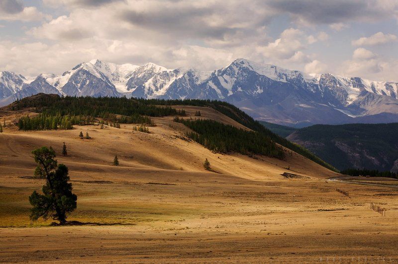 Алтай, Россия, Северо-чуйский хребет, Сибирь Алтай. Северо-Чуйский хребет.photo preview