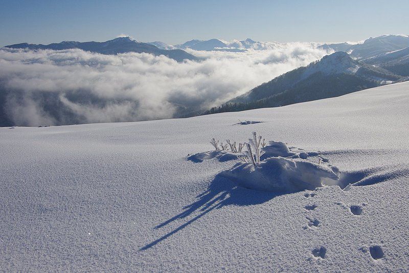 зимняя подборкаphoto preview