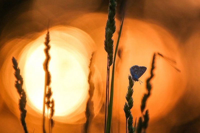 Угасание дня.photo preview