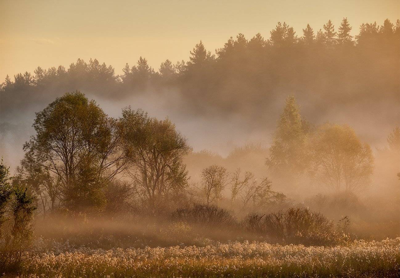 ***. Автор: Владимир Перепечаев , Владимир Перепечаев