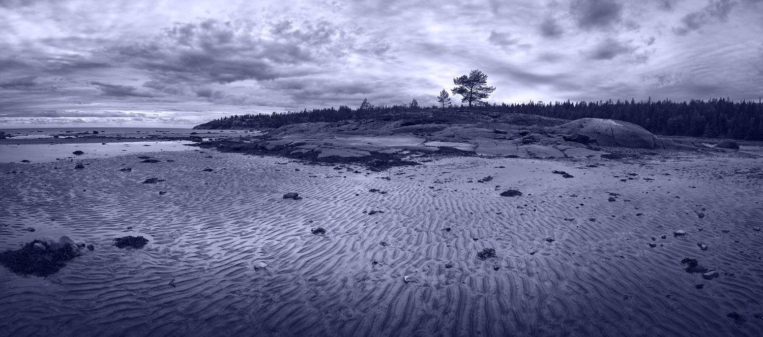 Веера песчаных волн отлива. Автор: Марина Никифорова Белое море, Кольский полуостров, Отлив, Марина Никифорова