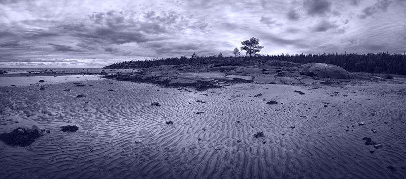 Белое море, Кольский полуостров, Отлив Веера песчаных волн отлива фото превью