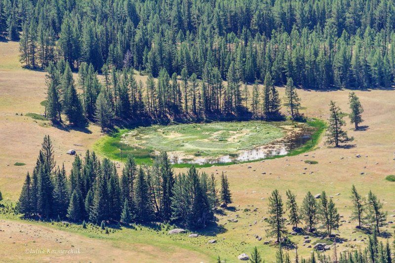 степь, горы, алтай, самаха, тайга, закат, облака, лиственница, река, аргут Безмолвиеphoto preview