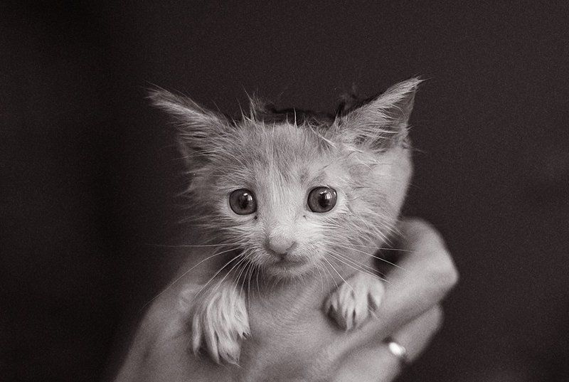 ............................photo preview