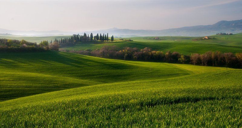 Тосканский Этюдphoto preview