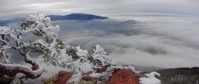 утро на планете Земляphoto preview