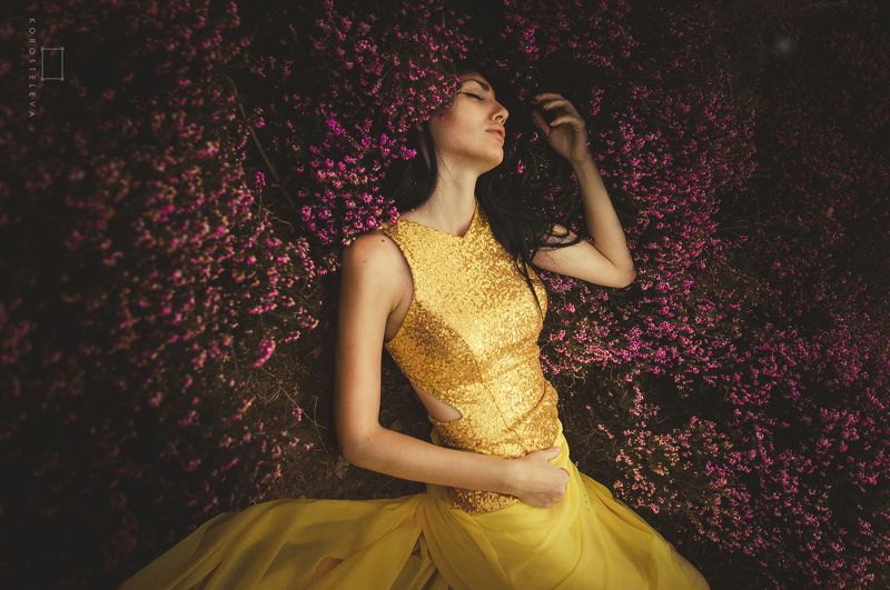 Портфолиоphoto preview