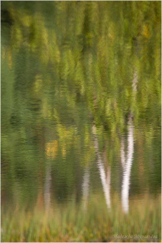 Вот и осеньphoto preview