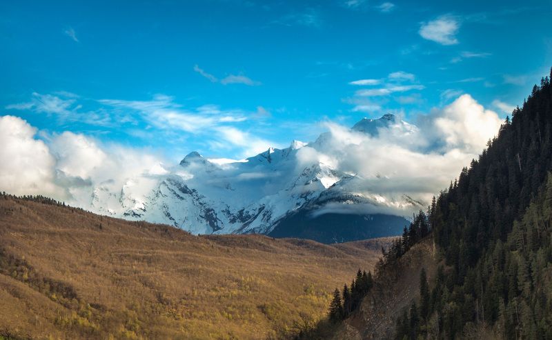 Сборник из Грузииphoto preview