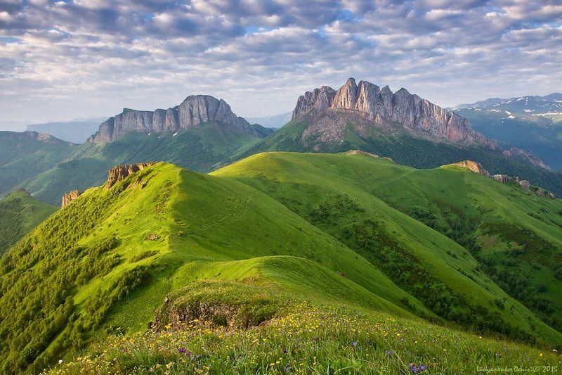 Спящий драконphoto preview