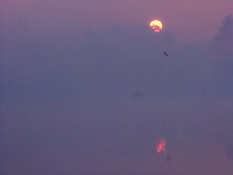 Вода, Восход солнца, Озеро, Пейзаж, Птицы, Туман, Утро В стране слепых тумановphoto preview