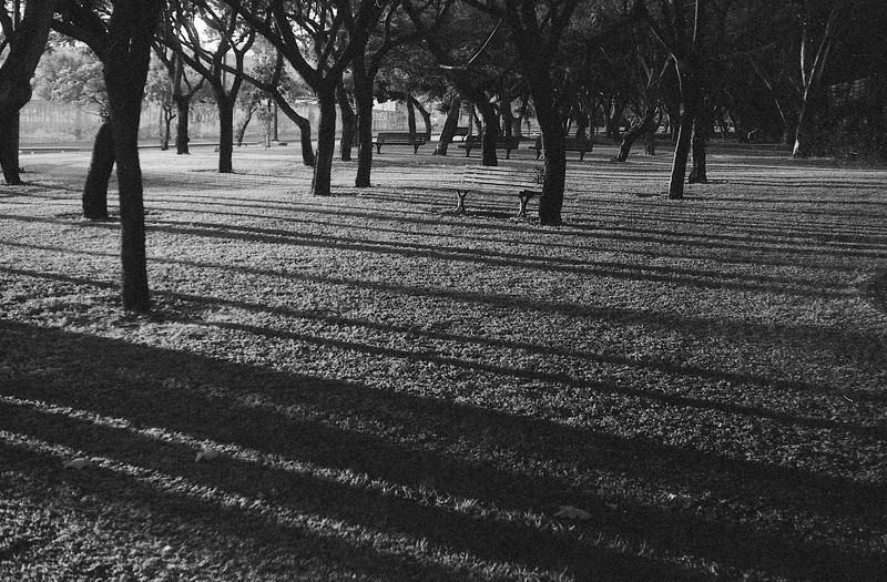 flim, fomapan, zorki, bw, blackandwhite Тениphoto preview