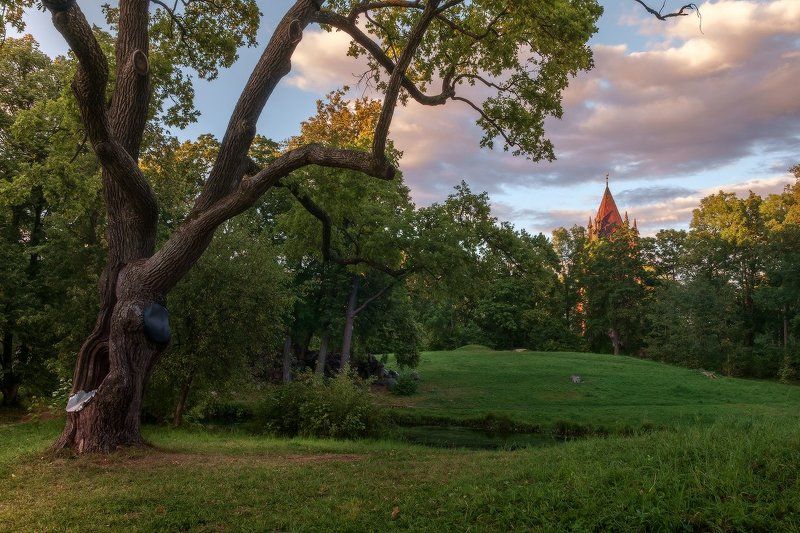 пушкин, царское, село, шапель, александровский, парк, лето про тихий вечер у Шапели...photo preview
