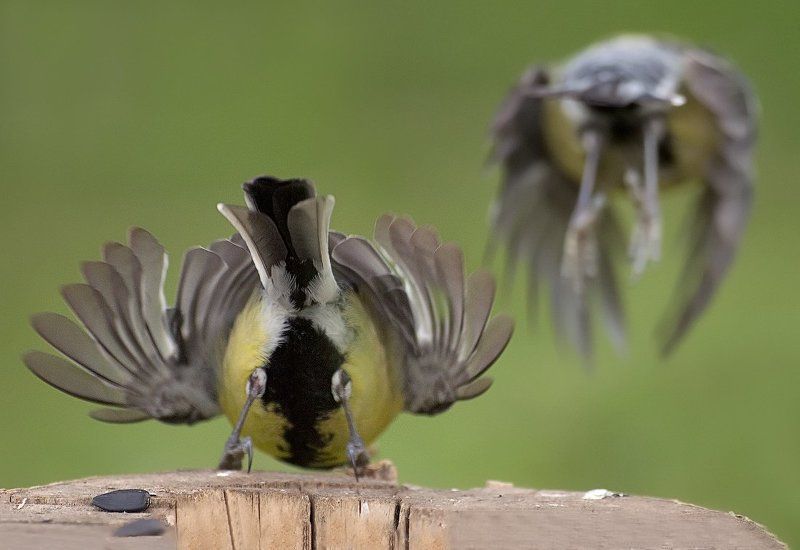 Фальстартphoto preview