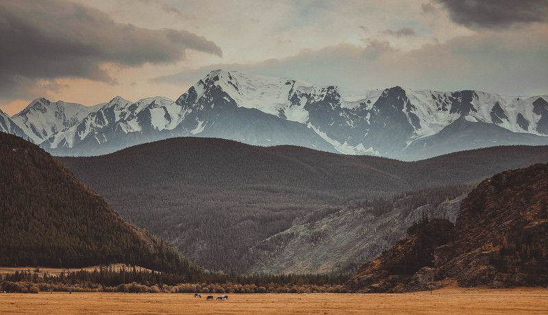 Altai, Mountain ***photo preview