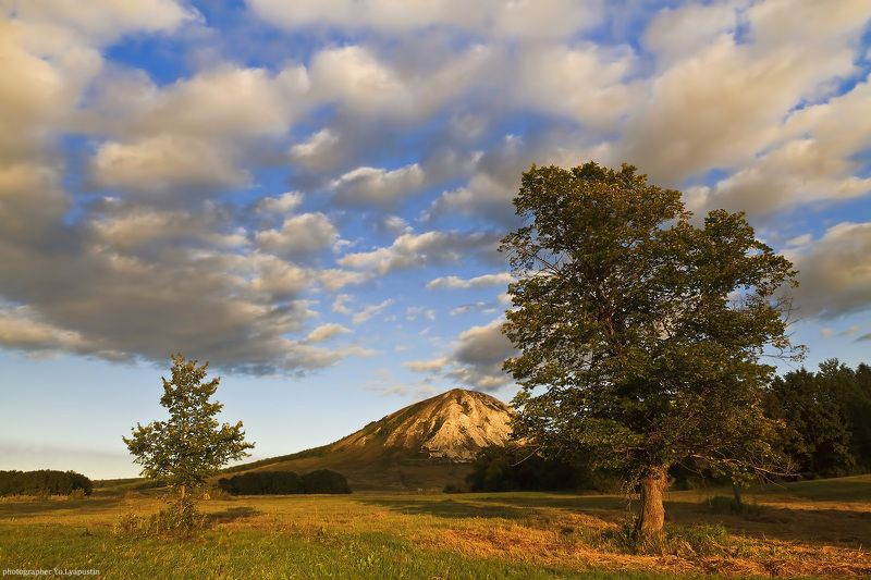 Башкортостан Одинокий дуб.photo preview
