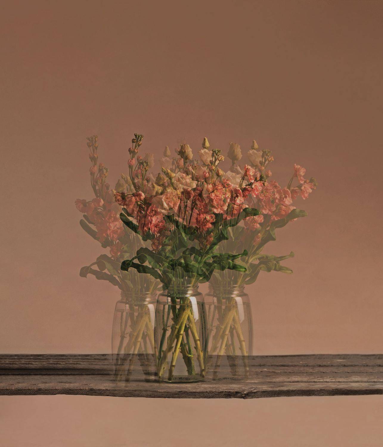 , Albina Bougartchev