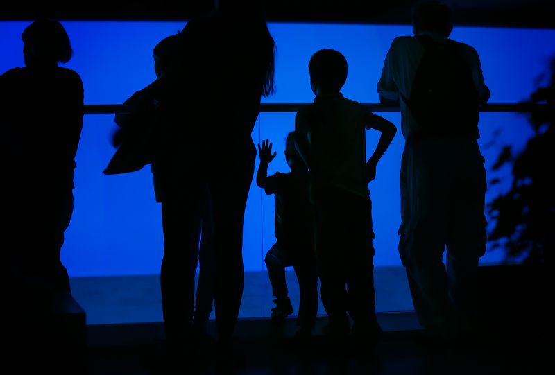 городские картинки, дети, на выставке На выставкеphoto preview