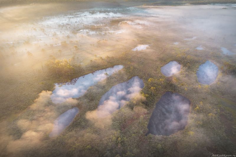 верховое болото, болотные озерки, грядово-озерковый комплекс, леноблась, ленинградская область, торфяник, топи, болотный туризм \