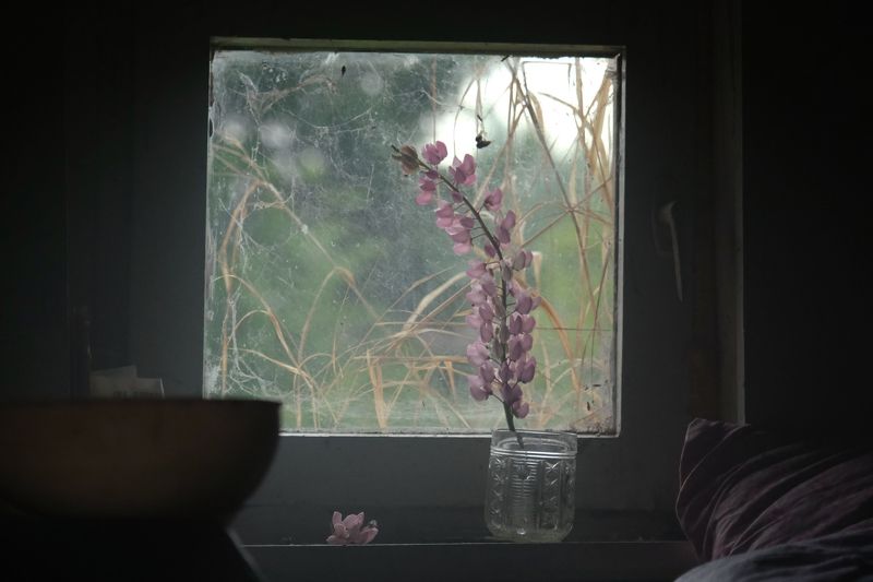 В дали от городаphoto preview