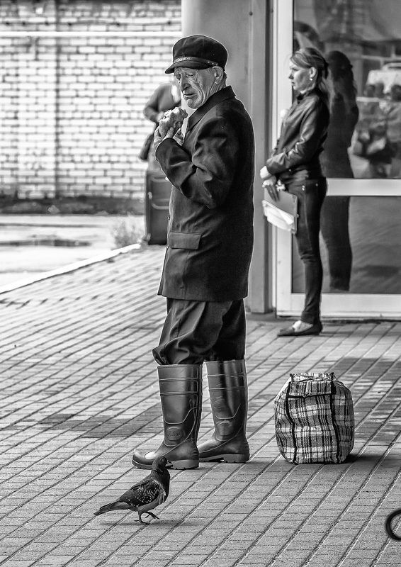 Старик и голубь.photo preview