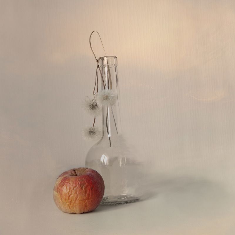 натюрморт photo preview