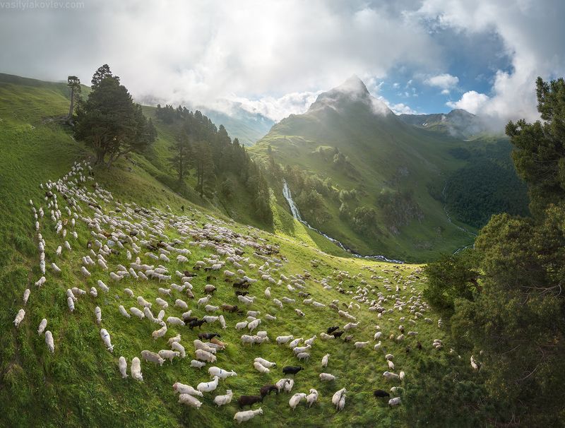 кчр, фототур, яковлевфототур, поход, загеданские, имеретинские, безмолвия, кавказ, имеретинка, загеданка, кавказ, поход Утро в КЧРphoto preview