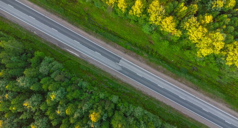 Дорога. фото превью