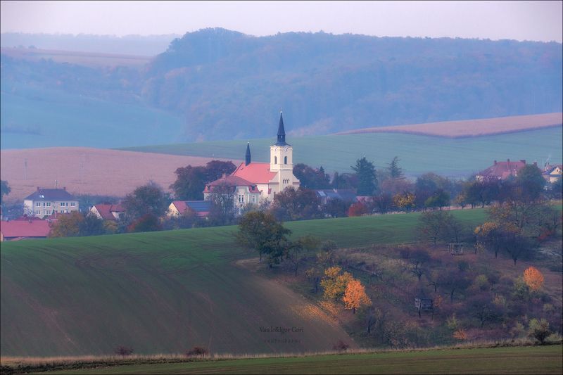 южная моравия,пейзаж,věteřov,деревья,линии,south moravian,lines,czech,золотая осень,чехия,landscape Хмурый Ветеровphoto preview