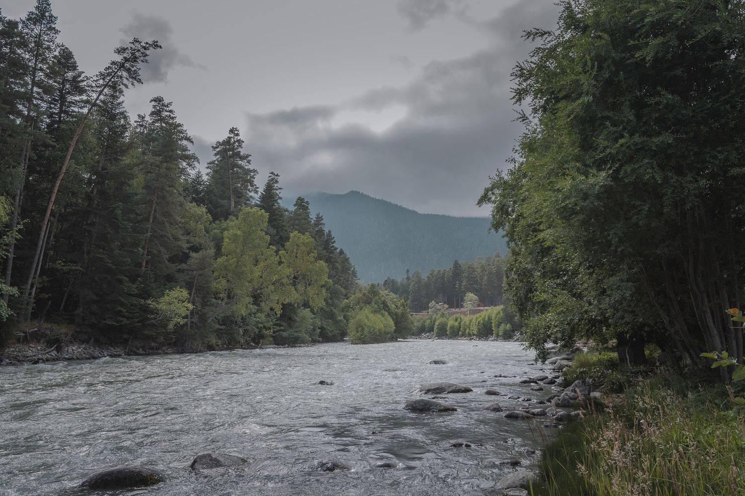 , Юрий Пужалин