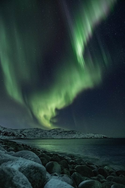 Корона Северной Аврорыphoto preview