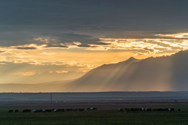 саяны, тункинская долина, тункинские гольцы Послегорозовой закат в Тункинской долинеphoto preview