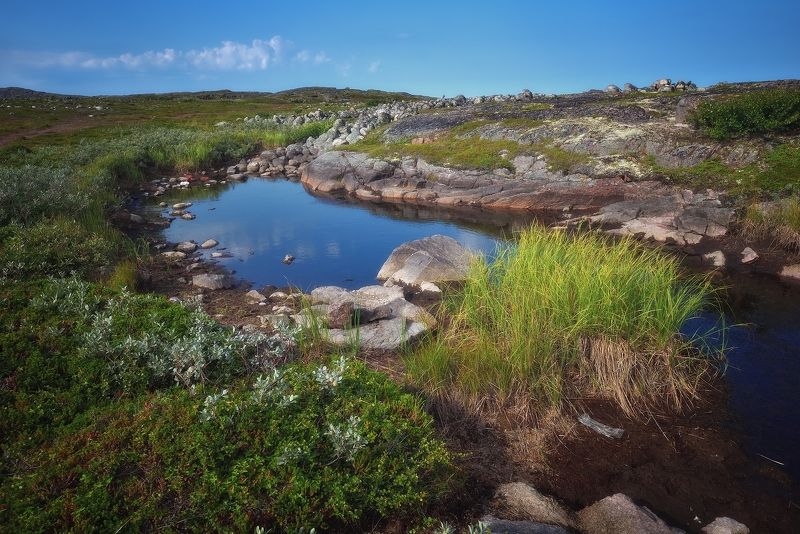 Териберка, Кольский полуостров, пейзаж Летняя тундраphoto preview