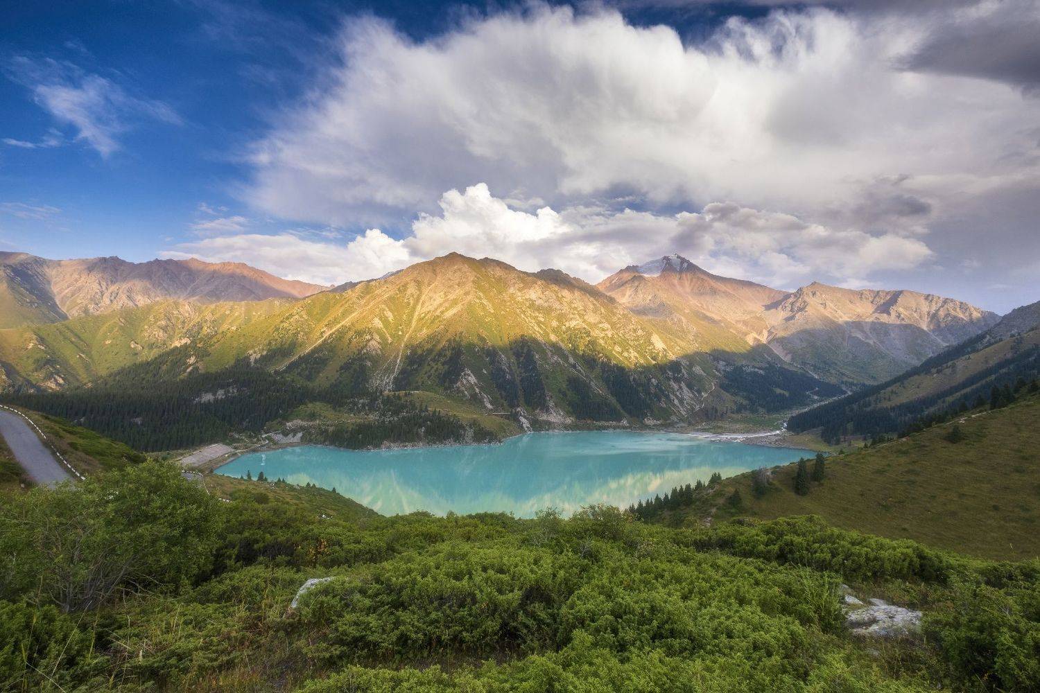 , Светлана Краюшкина