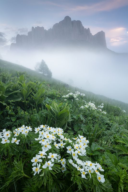 большой тхач в тумане...photo preview