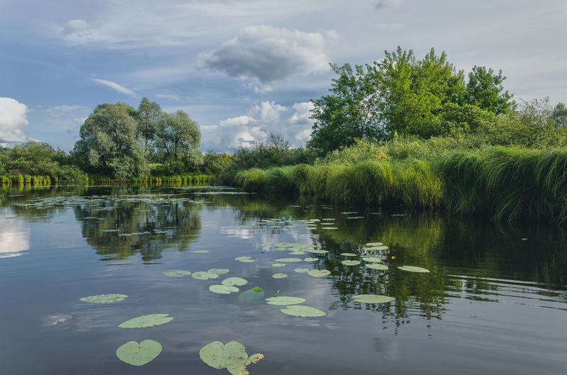 вечер пейзаж путешествия Вечер на старицеphoto preview