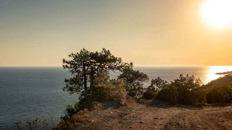 Августphoto preview